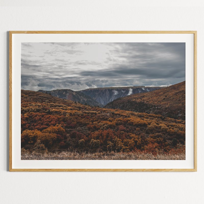 有雾的秋天风景 秋天的山和棕色的植物 灰色的天空和潮湿的土壤和 - 海报/装饰画/版画 - 纸 