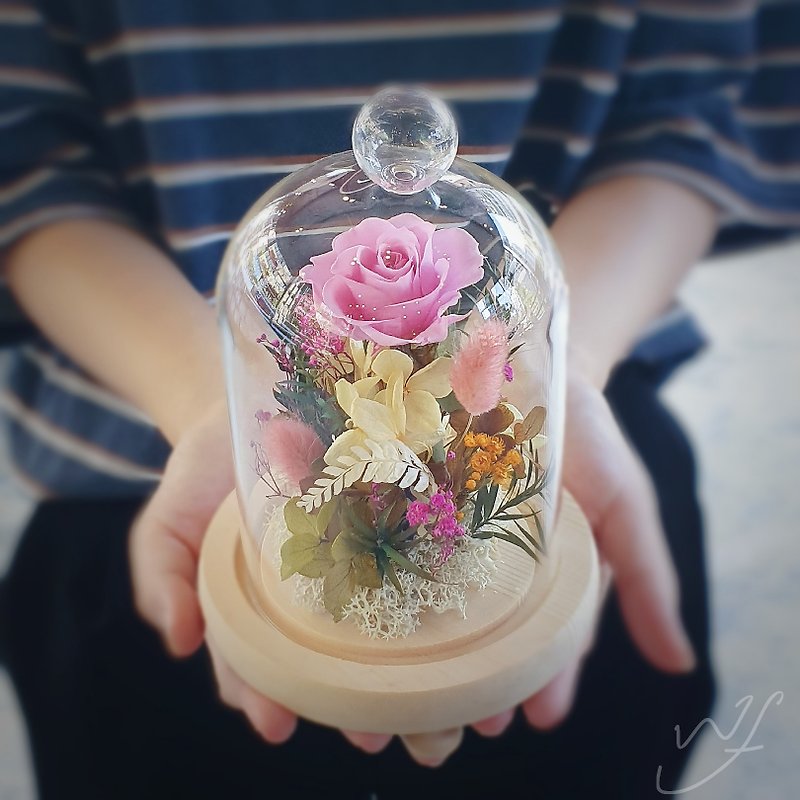 玫瑰花玻璃钟罩 花礼 生日礼物 盆栽 情人节 - 干燥花/捧花 - 植物．花 粉红色