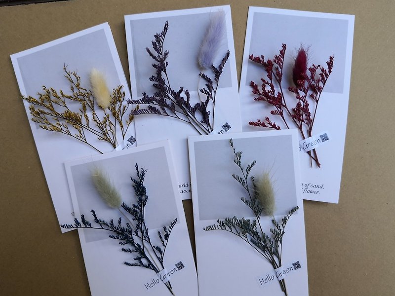 小清新白底长条干燥花卡片 永生花 拍照道具 手工卡片 母亲节 永 - 干燥花/捧花 - 植物．花 多色