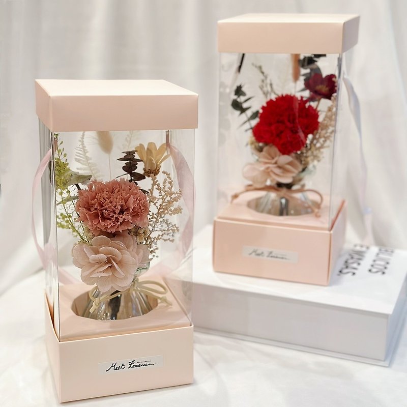【遇见恒久】暖心母亲节永生康乃馨手提花盒 共2款 - 干燥花/捧花 - 植物．花 卡其色