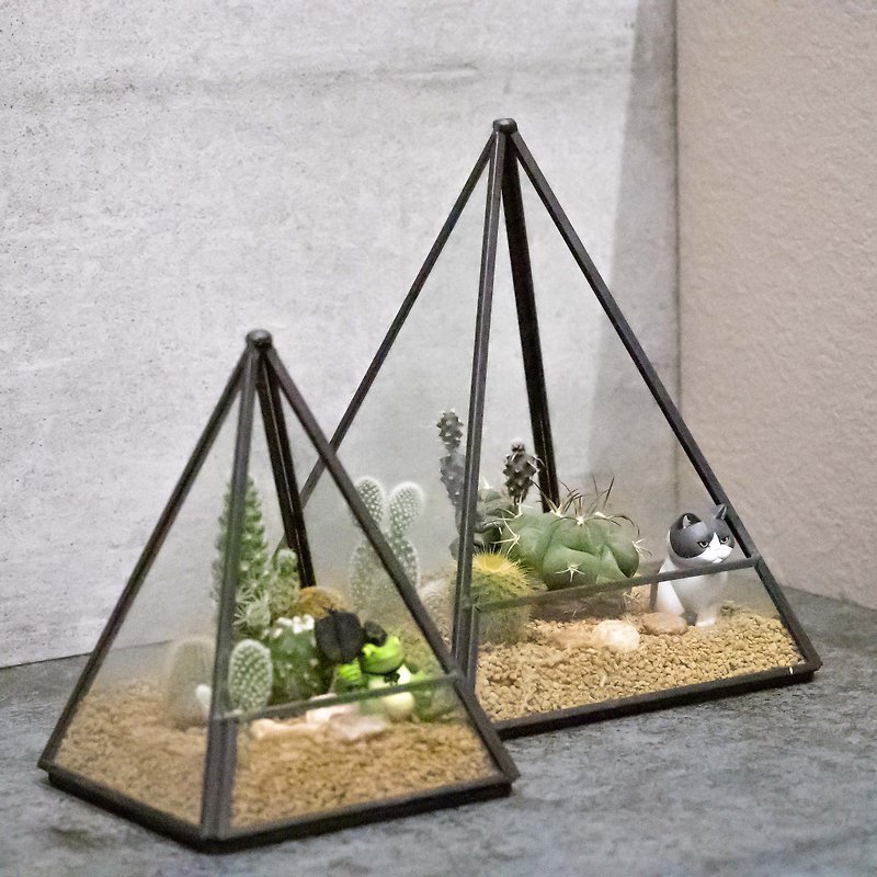 金字塔多肉建筑植物 - 植栽 - 玻璃 绿色