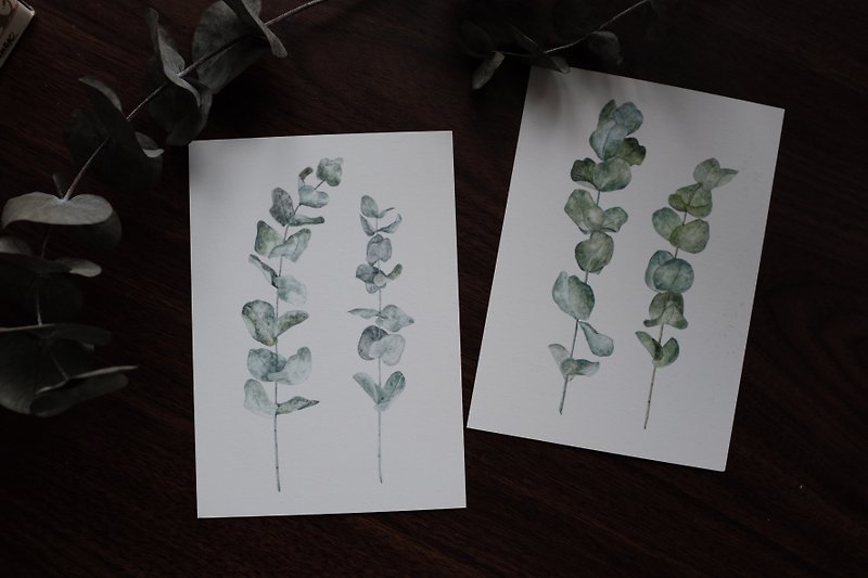 Silver-Yang 手绘明信片|| 植物系列。尤加利叶(二张一套) - 卡片/明信片 - 纸 绿色