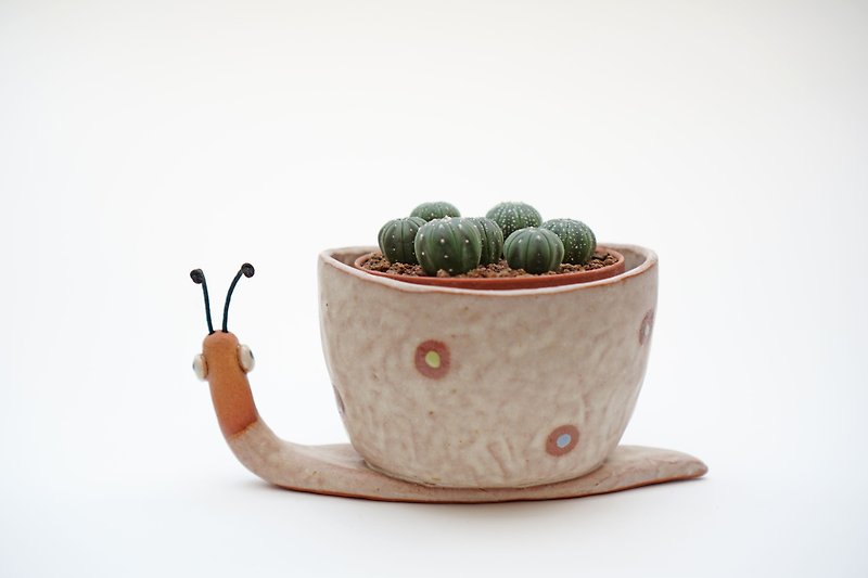 Snail pot , Snail plant pot , Handmade ceramics , pottery  - 植栽/盆栽 - 陶 多色