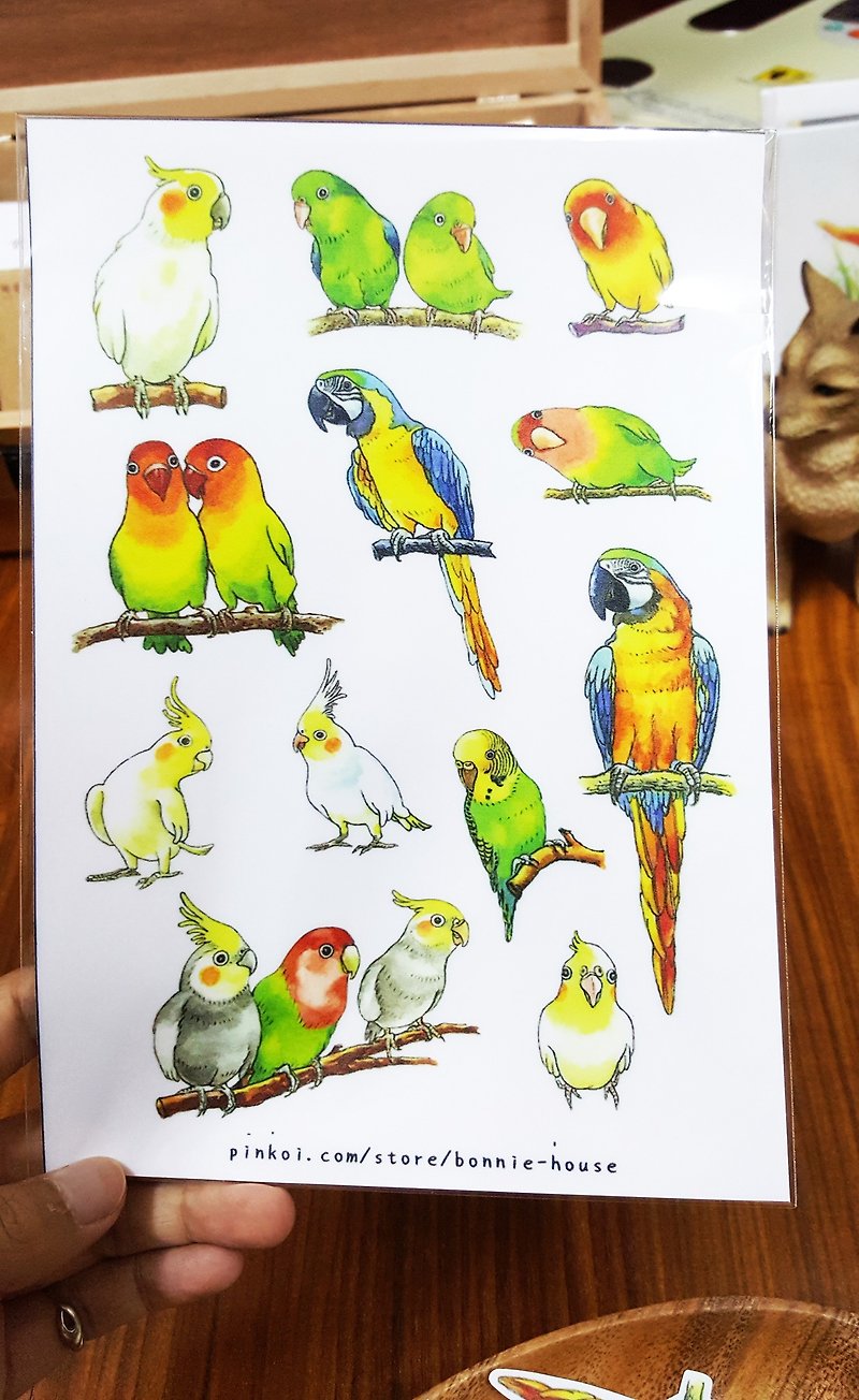 Bonnie 水彩手绘 鹦鹉贴纸(无轧型) - 贴纸 - 纸 多色