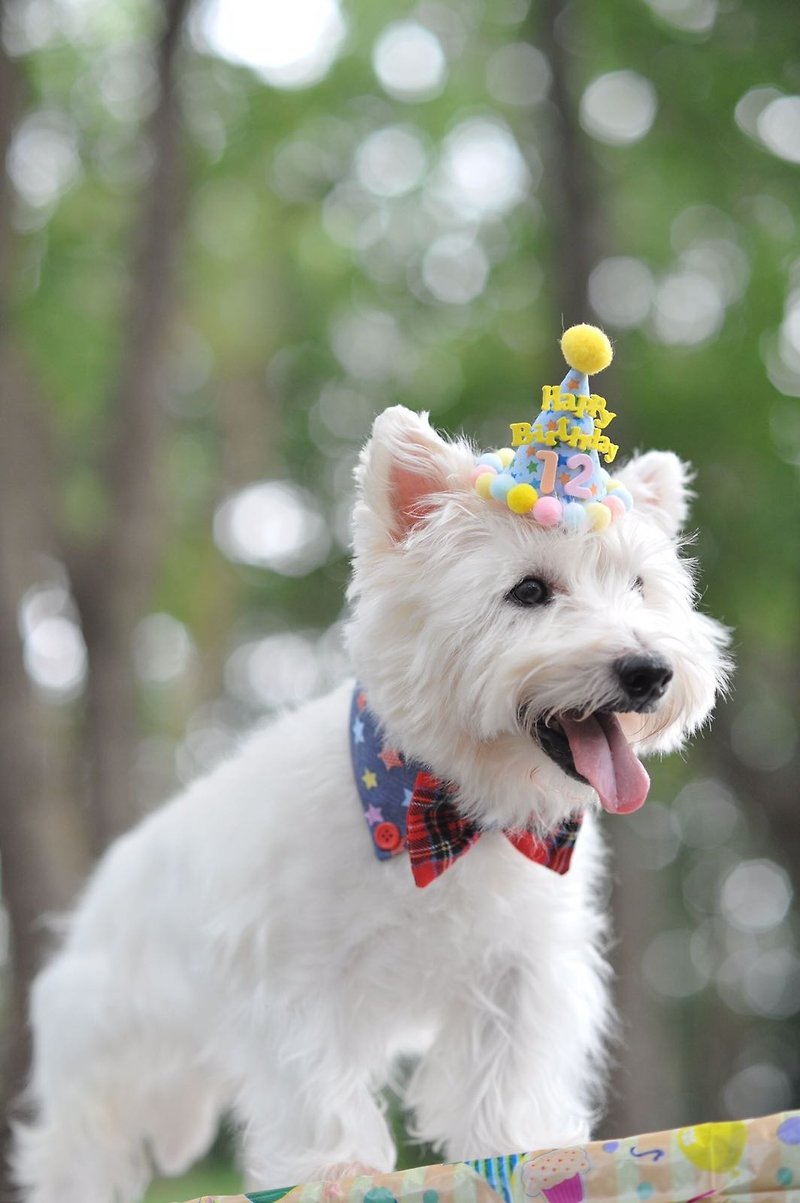 宠物 猫犬用  岁数  生日帽 生日会必备