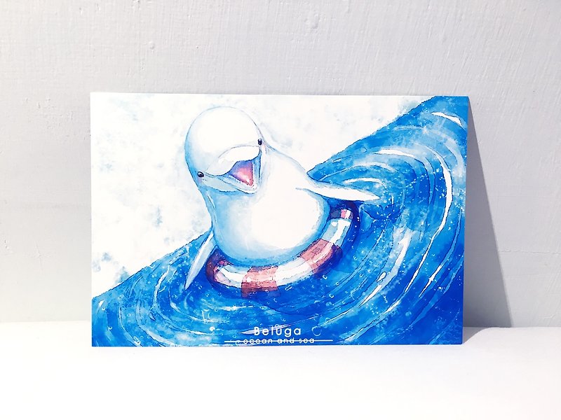 海洋与海 第二季 小白鲸/双面明信片postcard