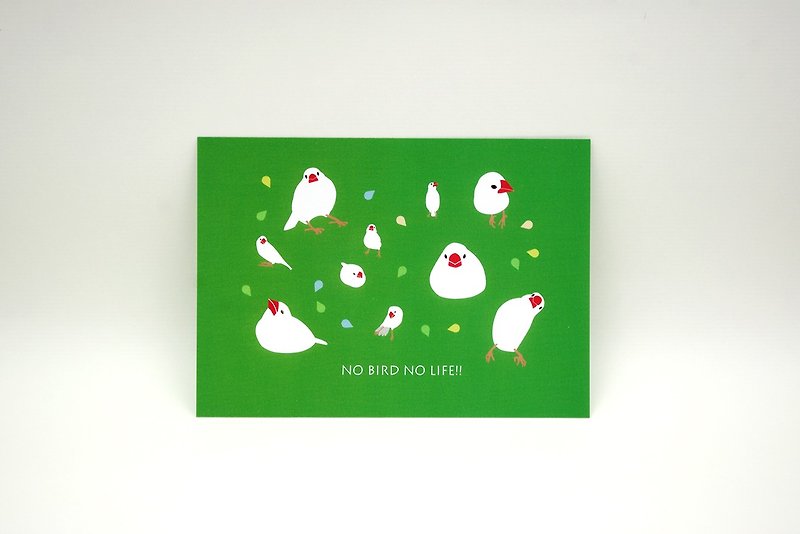 文鸟 明信片 (抹茶大福) - 卡片/明信片 - 纸 绿色