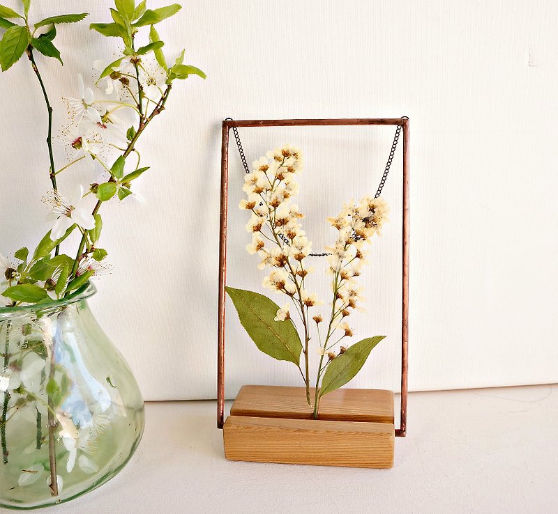 Plant illustration White flowers Herbarium double glass frame 白花 玻璃工藝 ハーバリウム - 干燥花/捧花 - 玻璃 白色