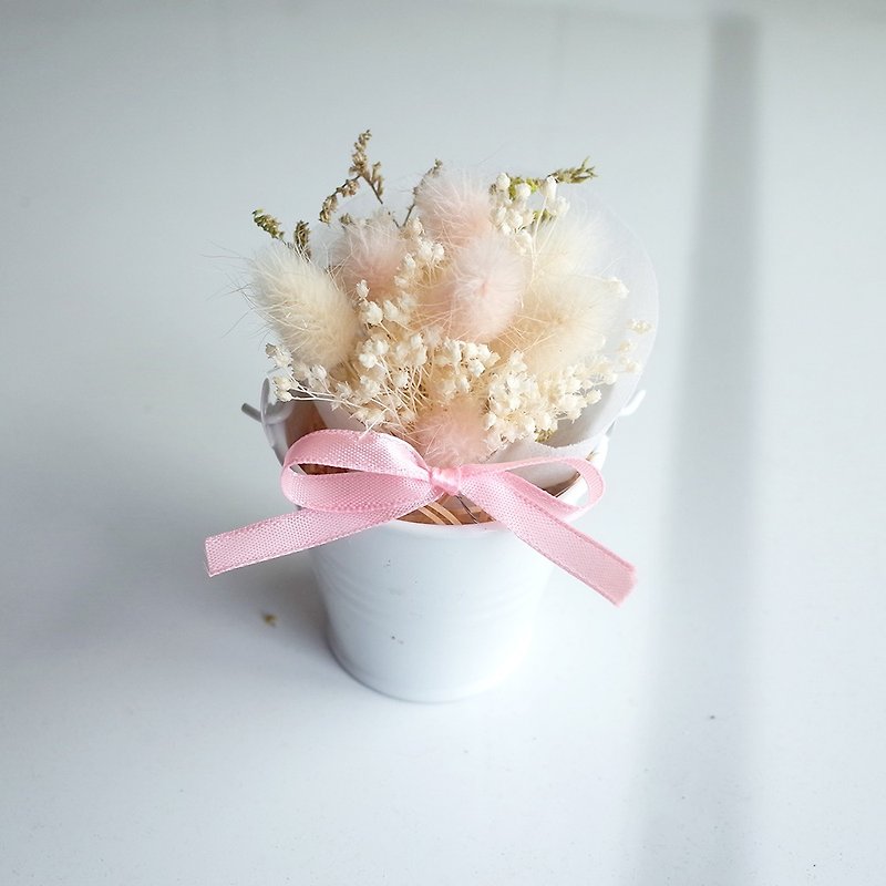 【Q-cute】干燥花小盆花系列-粉嫩毛毛 - 植栽/盆栽 - 植物．花 粉红色