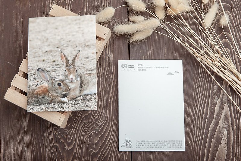兔子摄影明信片- 守护 - 卡片/明信片 - 纸 咖啡色