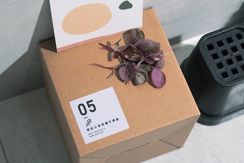 05紫红小苋菜种子_入坑礼物盒 - 植栽/盆栽 - 植物．花 