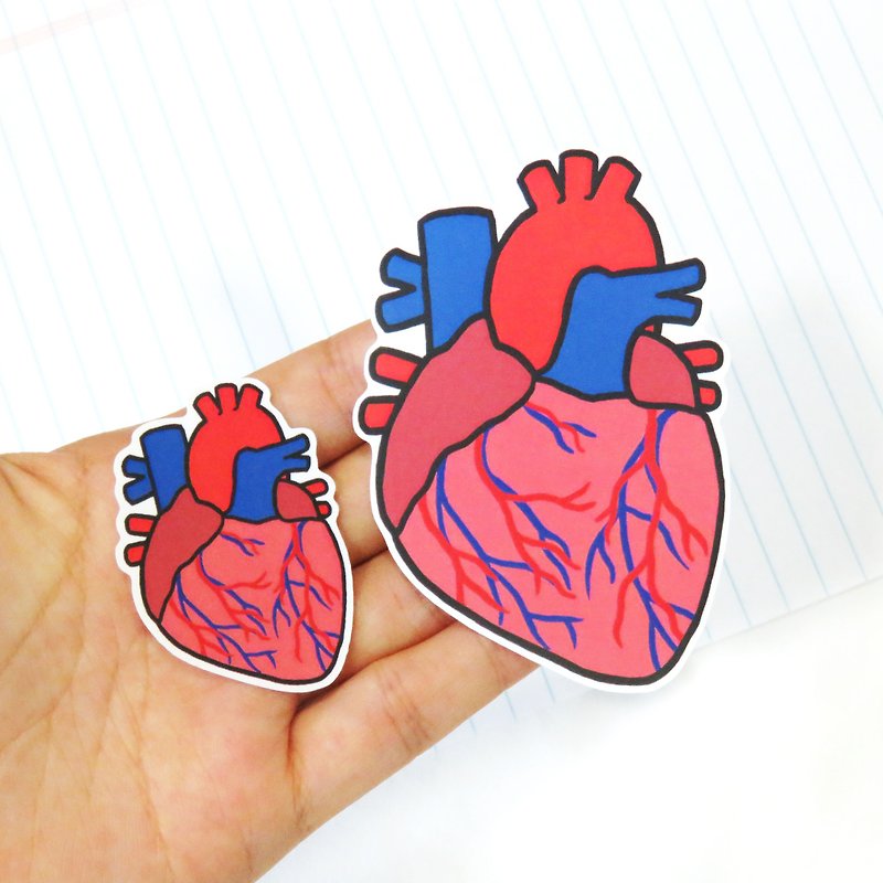 心脏图案 贴纸 / 生物学 器官 解剖 - 贴纸 - 防水材质 红色