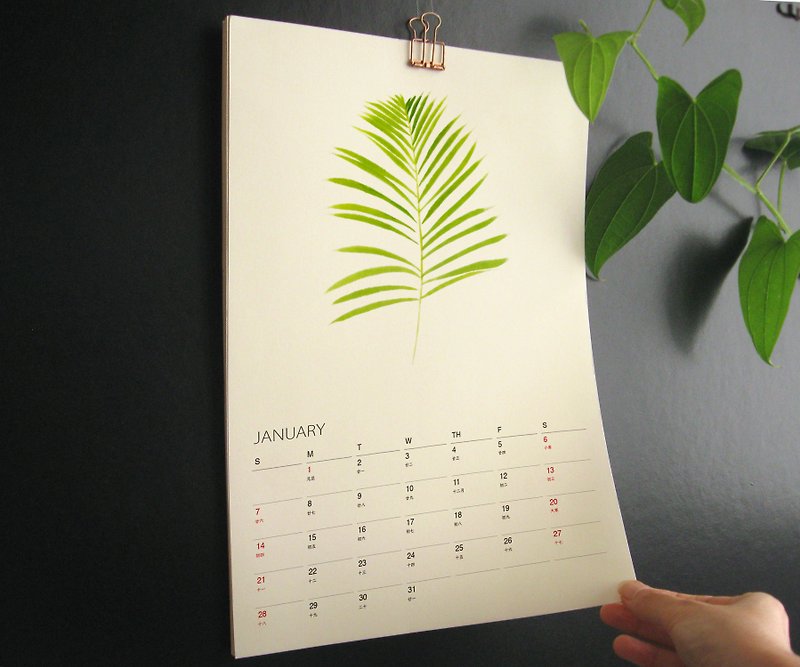 植物的静默 2024年 月历 挂历 给植物爱好者的新年礼物 1 - 年历/台历 - 纸 绿色