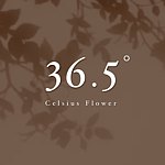 设计师品牌 - 36.5° Celsius Flower