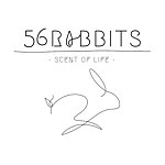 设计师品牌 - 56 Rabbits HK