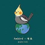 设计师品牌 - Ambird 一隻鸟