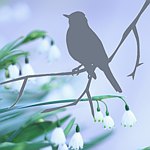 设计师品牌 - Birdonbranch