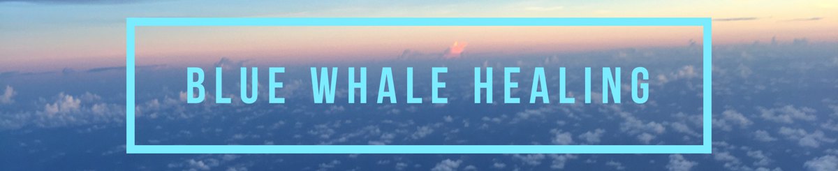 设计师品牌 - Blue Whale Healing