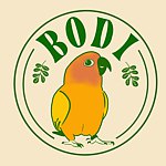 宝弟の杂货铺 Bodi's Grocery