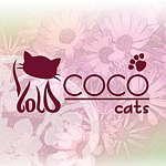 设计师品牌 - cococats