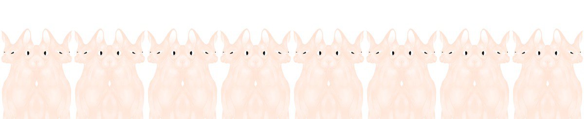 设计师品牌 - W3lson