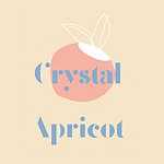 设计师品牌 - Crystal Apricot Studio