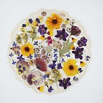 设计师品牌 - DAHAflowers