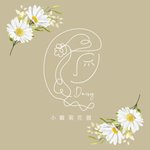 小雏菊花圆/Daisy flower