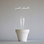 设计师品牌 - NULL PLANTS