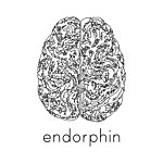 设计师品牌 - endorphin