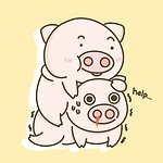 设计师品牌 - fatpig daily 肥肥猪