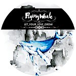 设计师品牌 - flyingwhale