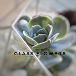 设计师品牌 - GlassFlowers