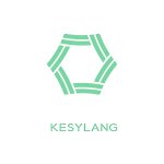 设计师品牌 - kesylang