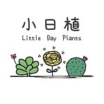 设计师品牌 - 小日植 Little Day Plants