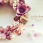 设计师品牌 - 小梦境。Little Dream / 干燥不凋花艺