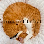 设计师品牌 - mon petit chat