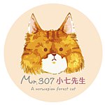 设计师品牌 - Mr.307 小七先生