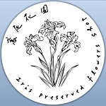 鸢尾花园 Iris Preserved flowers Shop 不凋花/干燥花/设计/手作
