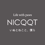 设计师品牌 - nicqqt