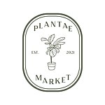 设计师品牌 - PLANTAEMARKET 植物市场