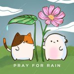 祈雨 PRAY FOR RAIN