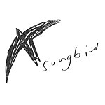 设计师品牌 - songbirdth