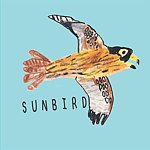 设计师品牌 - Sunbird