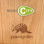 设计师品牌 - Pangolin，音乐城市工作室