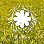友米友田 The Rice