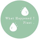设计师品牌 - 滑栽 What Happened! Plant