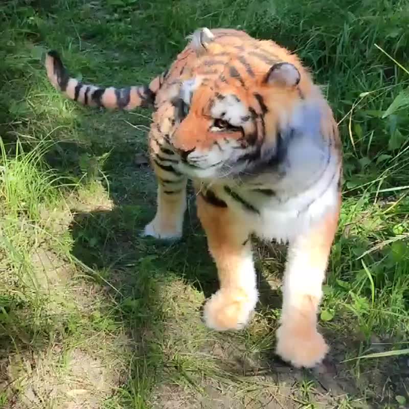 老虎 野生动物 野猫 写实艺术娃娃 OOAK 人造毛绒动物室内装饰 - 玩偶/公仔 - 其他材质 橘色