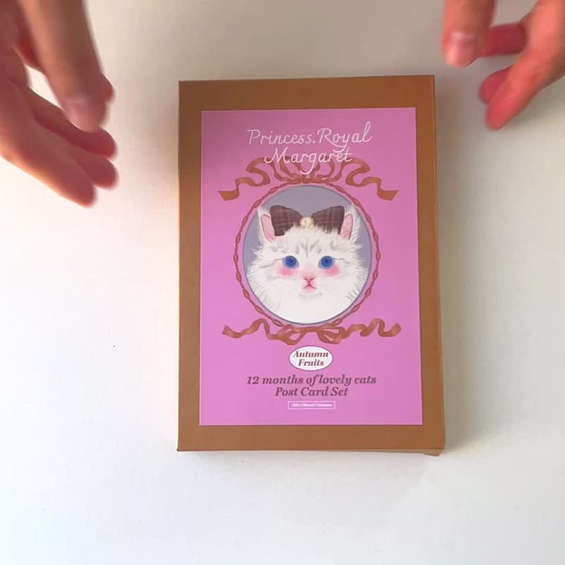 猫咪插画双面明信片套装 - 卡片/明信片 - 纸 多色