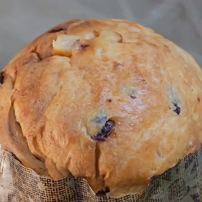 意大利国民甜点面包 kefir panettone 克菲尔潘娜朵妮 - 蛋糕/甜点 - 其他材质 卡其色